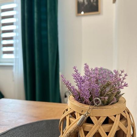 Apartament Zielony Kollataja Tomaszów Mazowiecki Exterior foto
